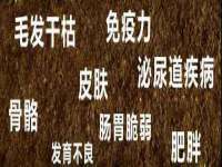 孝义市荣兴商贸有限公司