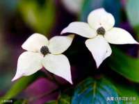 孝义市荣兴商贸有限公司