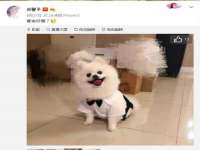 孝义市荣兴商贸有限公司