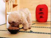 孝义市荣兴商贸有限公司