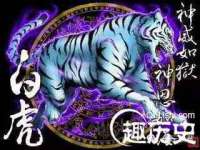 孝义市荣兴商贸有限公司