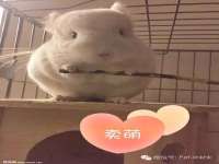 孝义市荣兴商贸有限公司