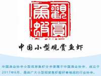 孝义市荣兴商贸有限公司