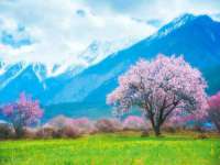 孝义市荣兴商贸有限公司