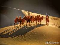 孝义市荣兴商贸有限公司