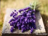 孝义市荣兴商贸有限公司