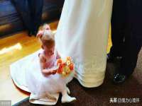 孝义市荣兴商贸有限公司
