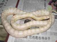 孝义市荣兴商贸有限公司