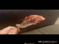 孝义市荣兴商贸有限公司